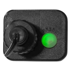 Berry Mini -LED-valoketju ajastimella, monivärinen