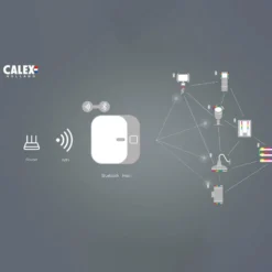 Calex Smart Outdoor Link Bluetooth Mesh -yhdyskäytävä