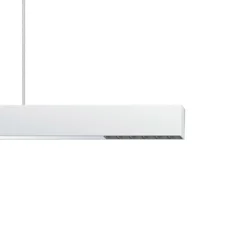 ERCO Compar P DALI up/down ovalwide valk/musta 940