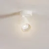 Kattokohdevalo Mono I valkoinen, sisäpuoli kultainen, 1-lamppuinen