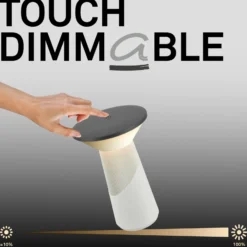 LED-akkukäyttöinen pöytälamppu Pilia, antrasiitti/vaaleanharmaa, korkeus 24 cm,