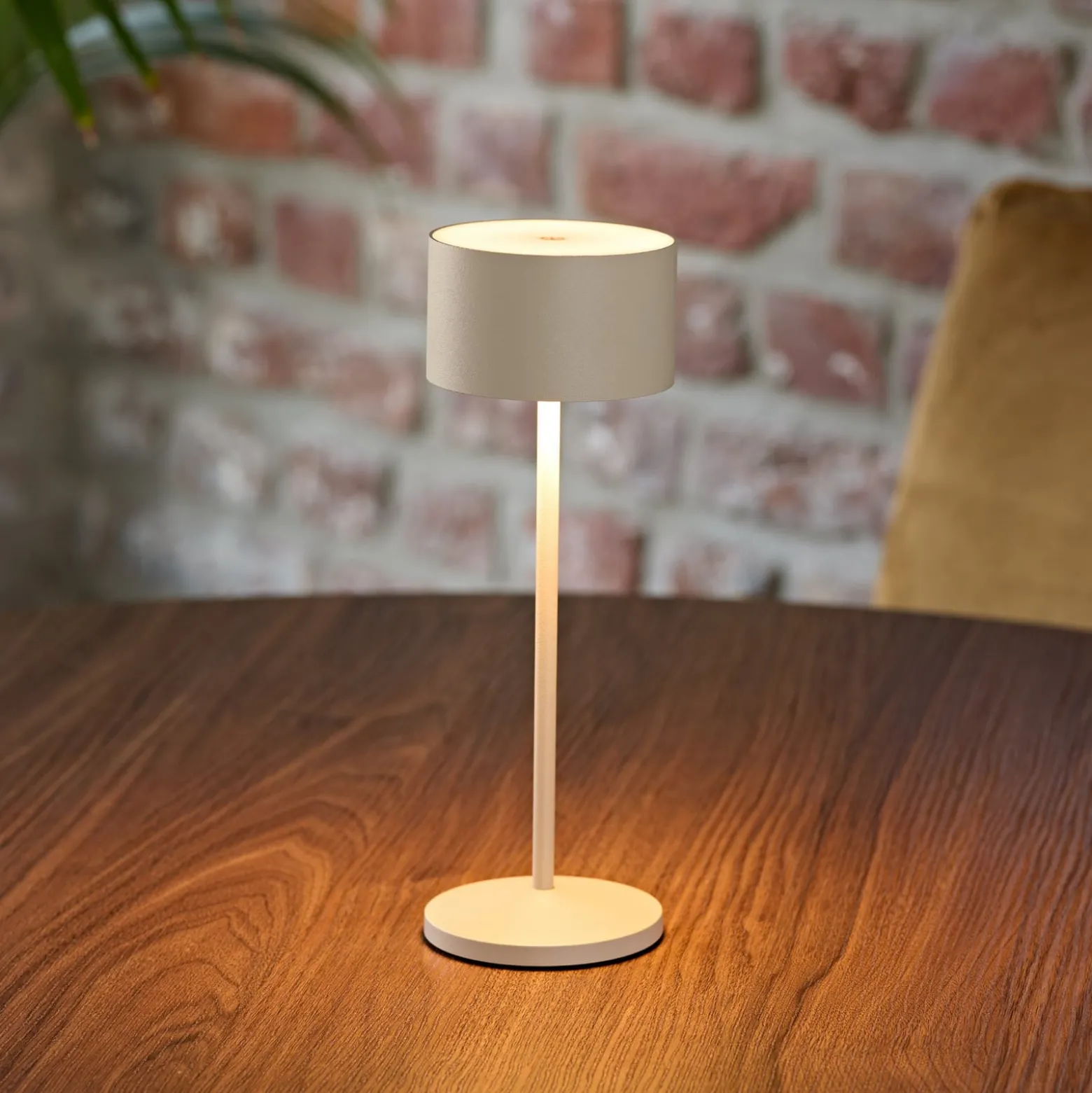 LED-akku-pöytälamppu Veluna, beige, korkeus 25 cm, IP44, himmennettävä CCT