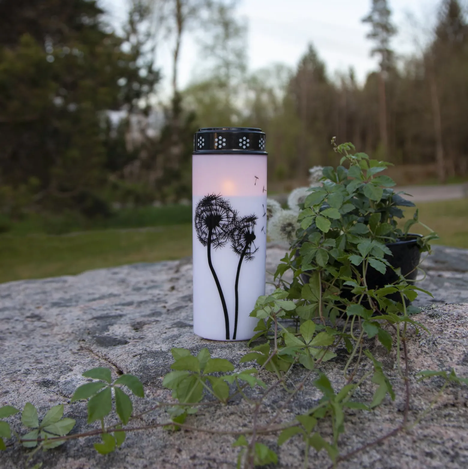 LED hautavalo Dandelion, 21 cm valkoinen/musta muoviparisto, valkoinen/musta