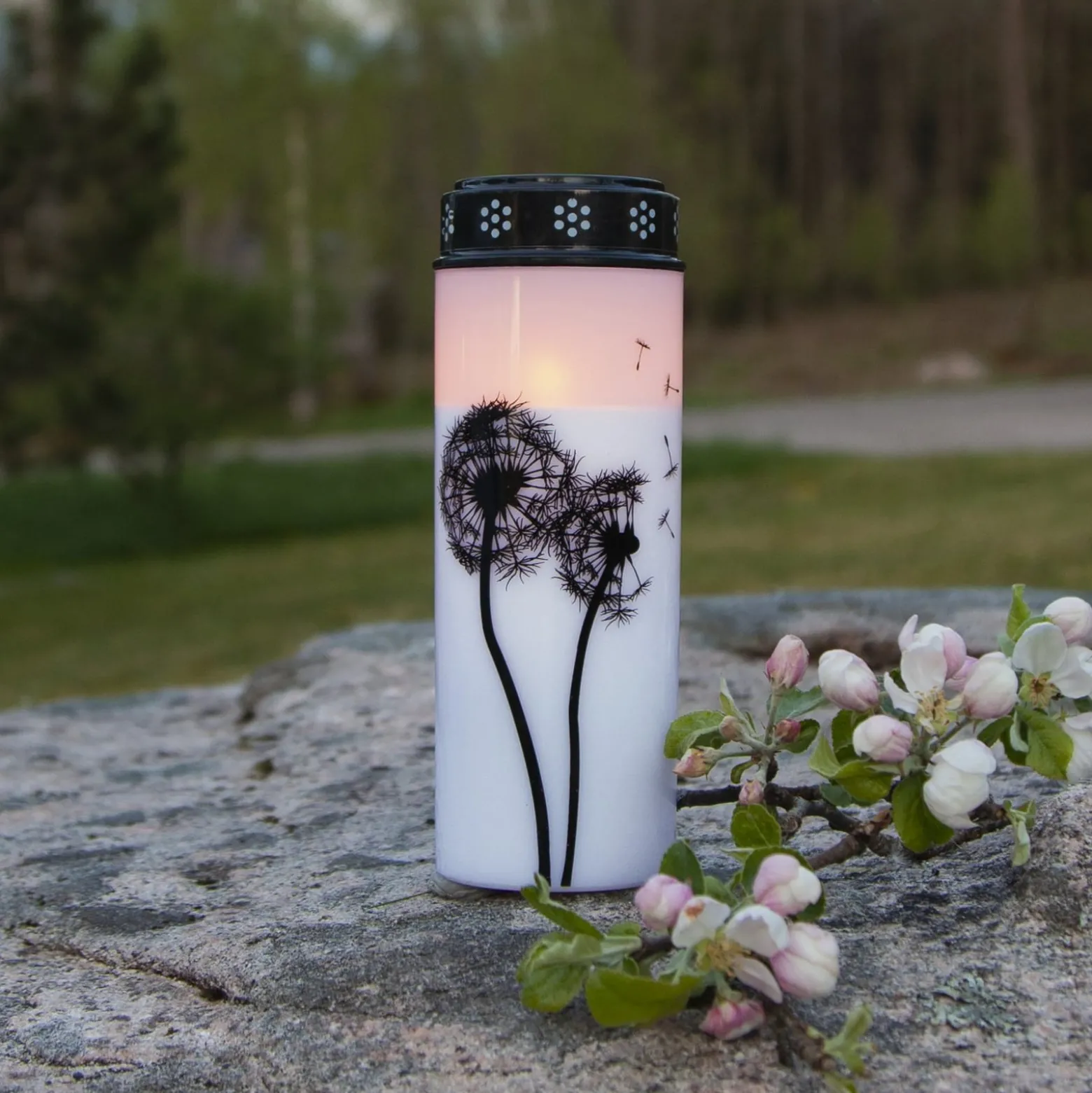 LED hautavalo Dandelion, 21 cm valkoinen/musta muoviparisto, valkoinen/musta