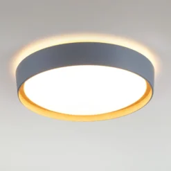 LED-kattovalaisin Emilia, kolmiportainen himmennettävä, harmaa