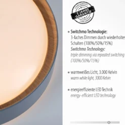 LED-kattovalaisin Emilia, kolmiportainen himmennettävä, harmaa