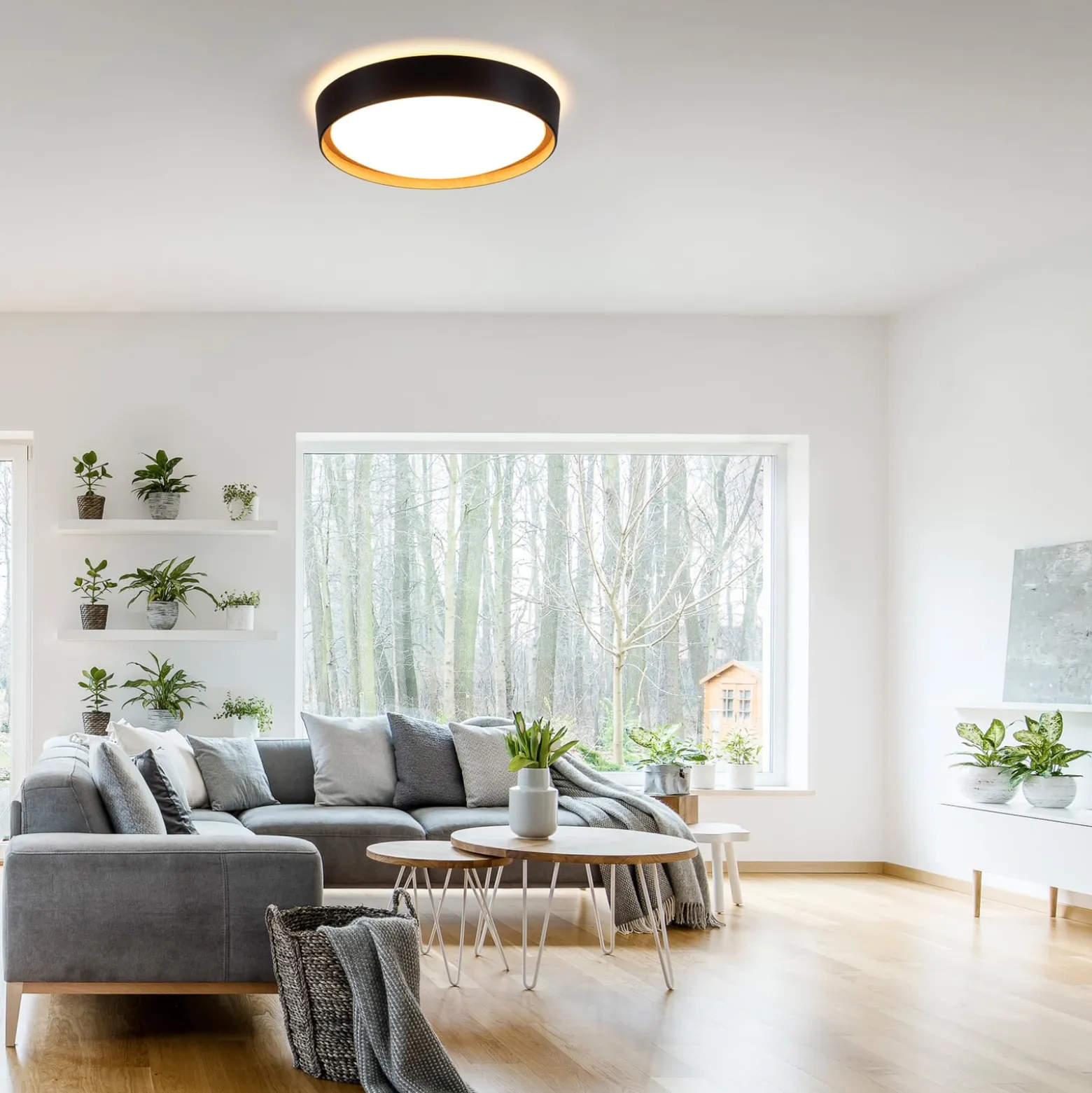 LED-kattovalaisin Emilia 3-portainen himmennettävä musta