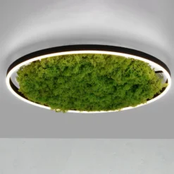 LED kattovalaisin Green Ritus, sammal himmennettävä Ø58.5cm