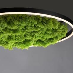 LED kattovalaisin Green Ritus, sammal himmennettävä Ø58.5cm