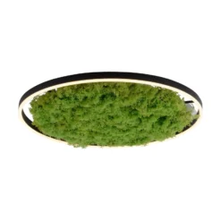 LED kattovalaisin Green Ritus, sammal himmennettävä Ø58.5cm