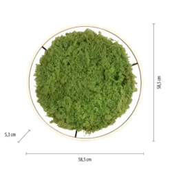 LED kattovalaisin Green Ritus, sammal himmennettävä Ø58.5cm