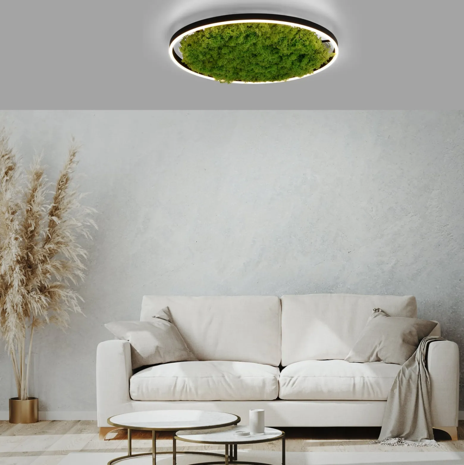 LED kattovalaisin Green Ritus, sammal himmennettävä Ø58.5cm