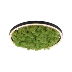 LED kattovalaisin Green Ritus, sammal himmennettävä Ø39.3cm
