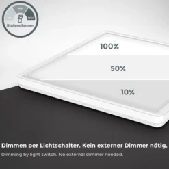 LED-paneeli Eki, 29 x 29 cm, valkoinen, himmennettävä, taustavalo, 4 000 K