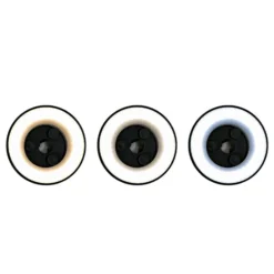 LED-seinävalaisin Disk, Ø 18 cm, musta, muovi, IP65, CCT