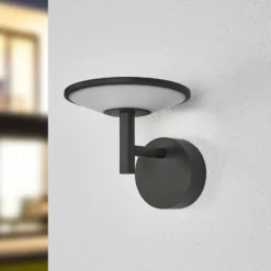 Lucande LED-ulkoseinävalaisin Fenia, antrasiitti, alumiini, IP65