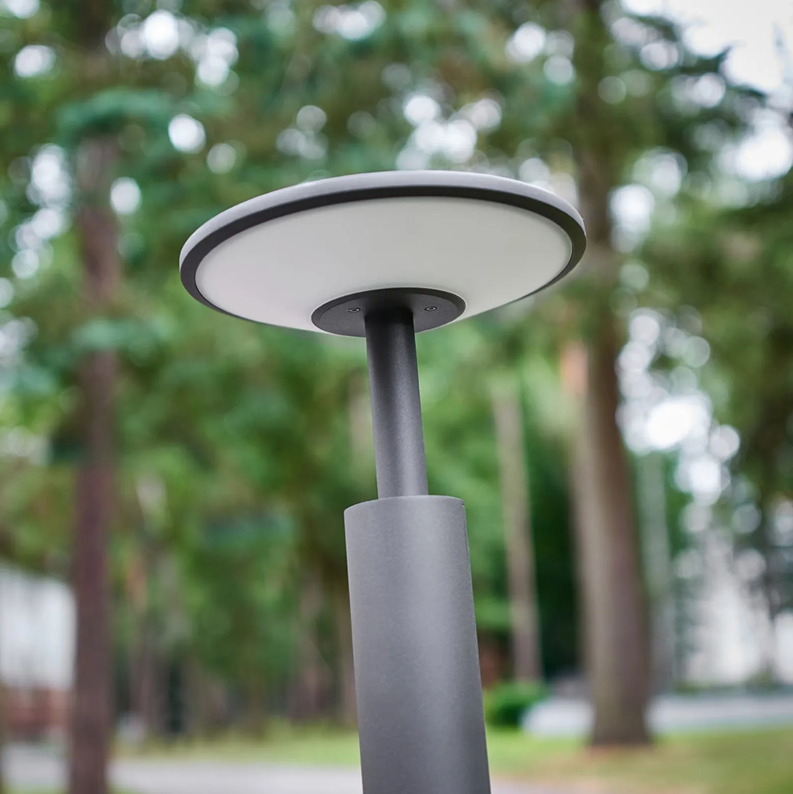 Lucande LED-valaisin Fenia, 100 cm, antrasiitti, IP65