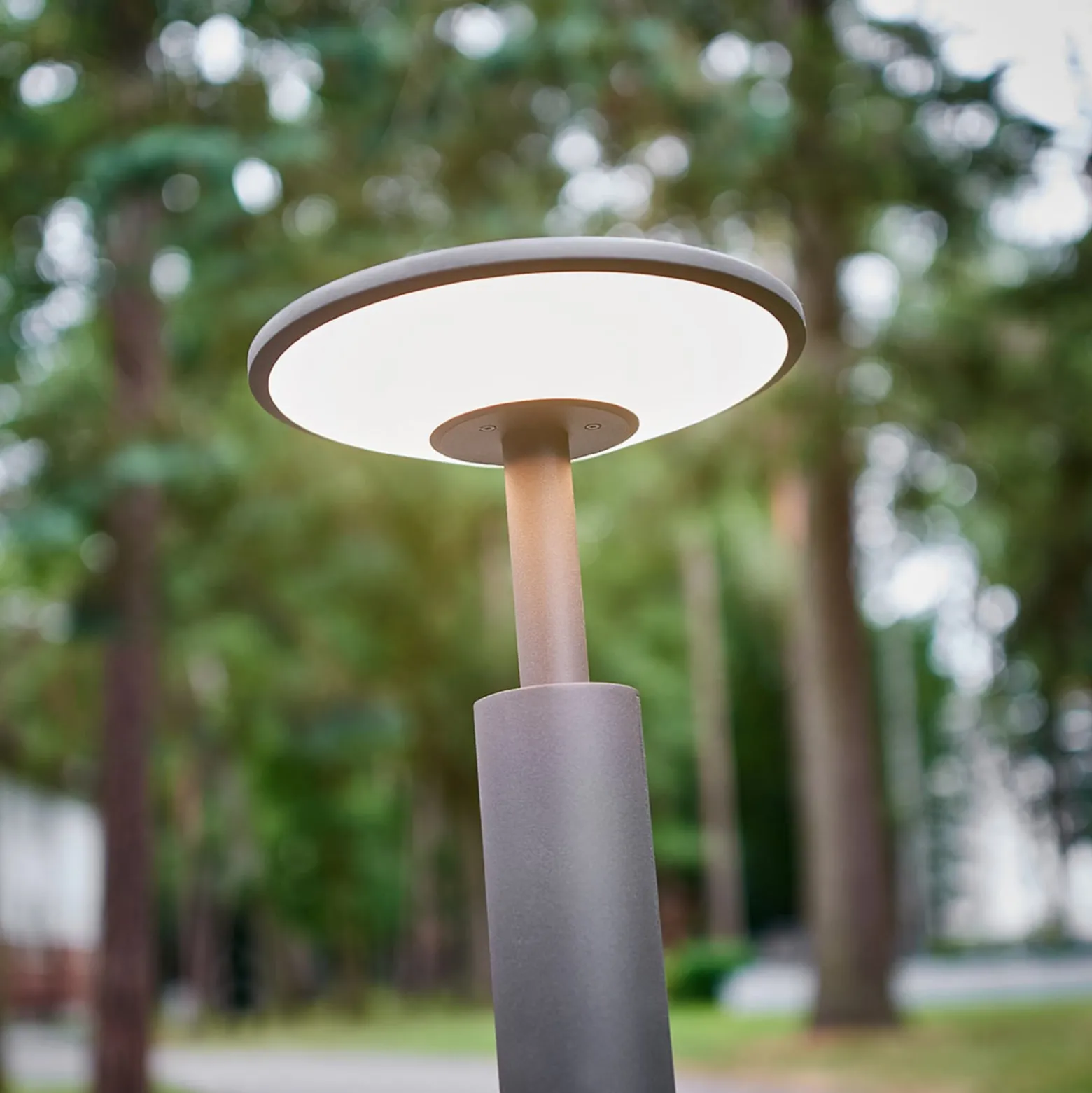Lucande LED-valaisin Fenia, 100 cm, antrasiitti, IP65