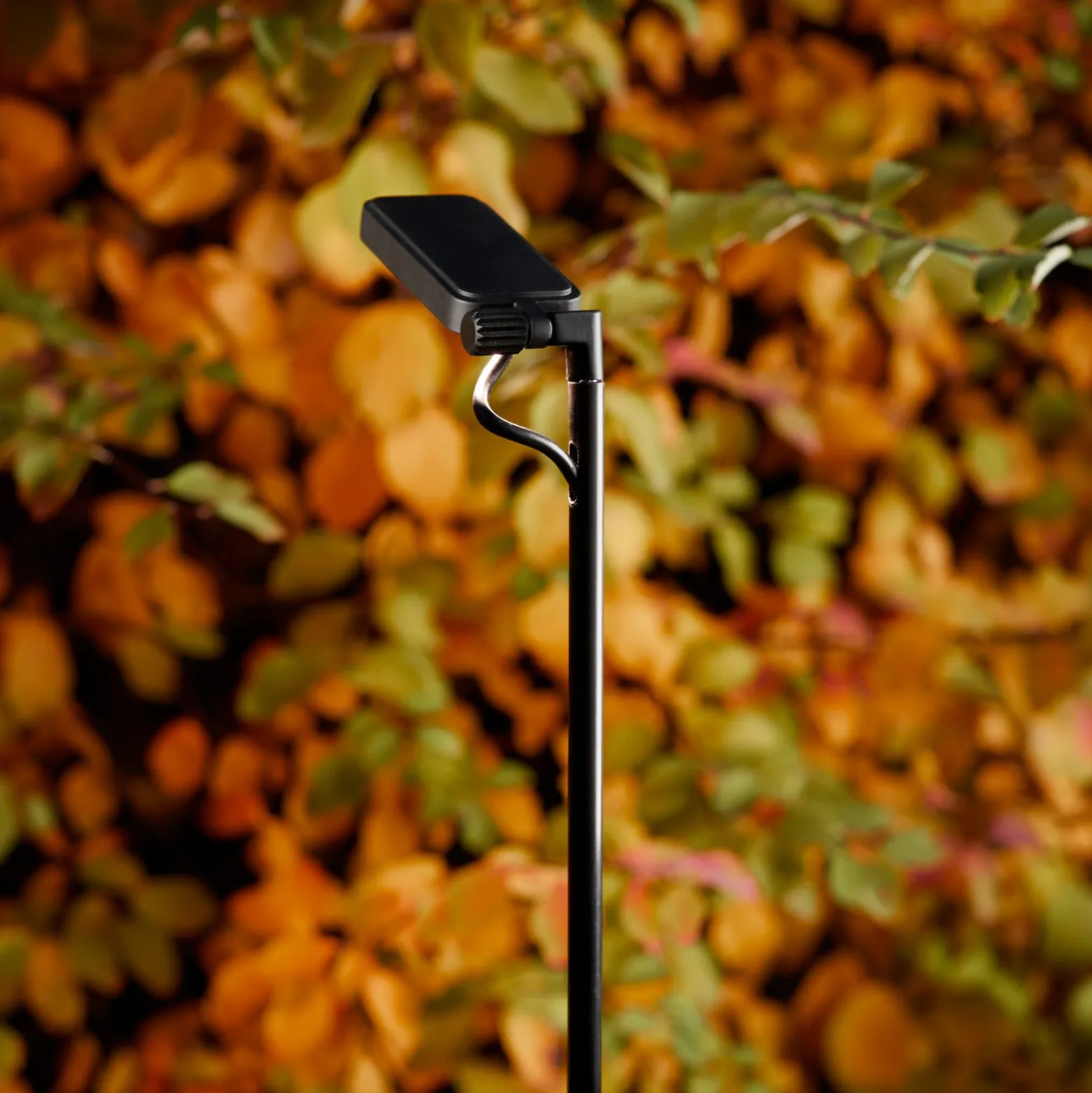 Luceplan LED-pylväsvalaisin Flia, korkeus 120 cm, musta, muovi