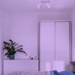 Müller Licht tint Nalo-LED-kohdevalaisin 2 lamppua