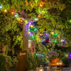 Olutpuutarhan keijuvalot 20 värikästä LED-lamppua