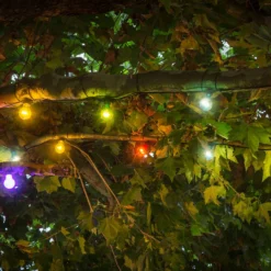 Olutpuutarhan keijuvalot 20 värikästä LED-lamppua
