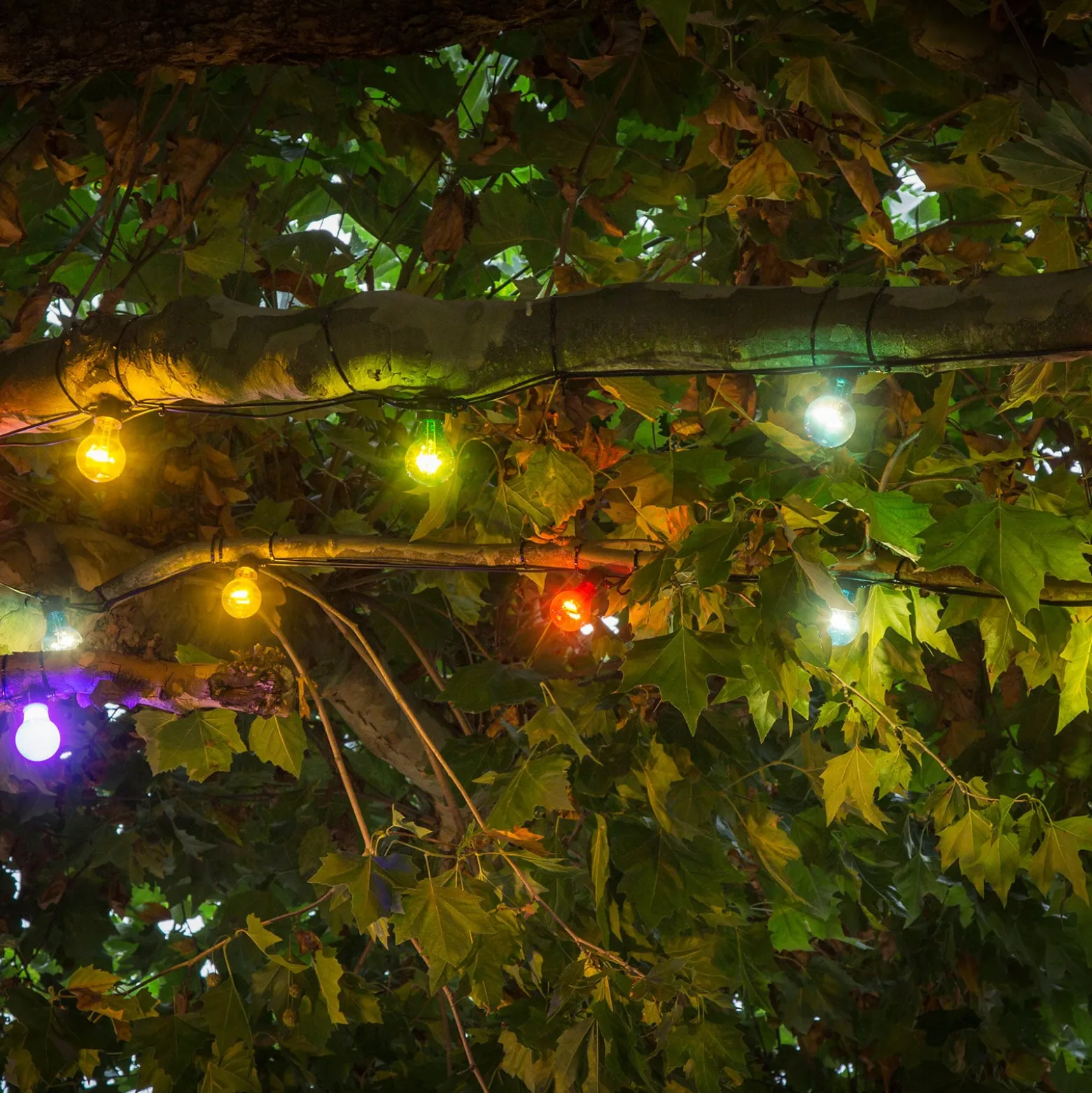 Olutpuutarhan keijuvalot 20 värikästä LED-lamppua