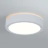 Paulmann Aviar -LED-kattovalaisin Ø 22 cm, 4 000 K