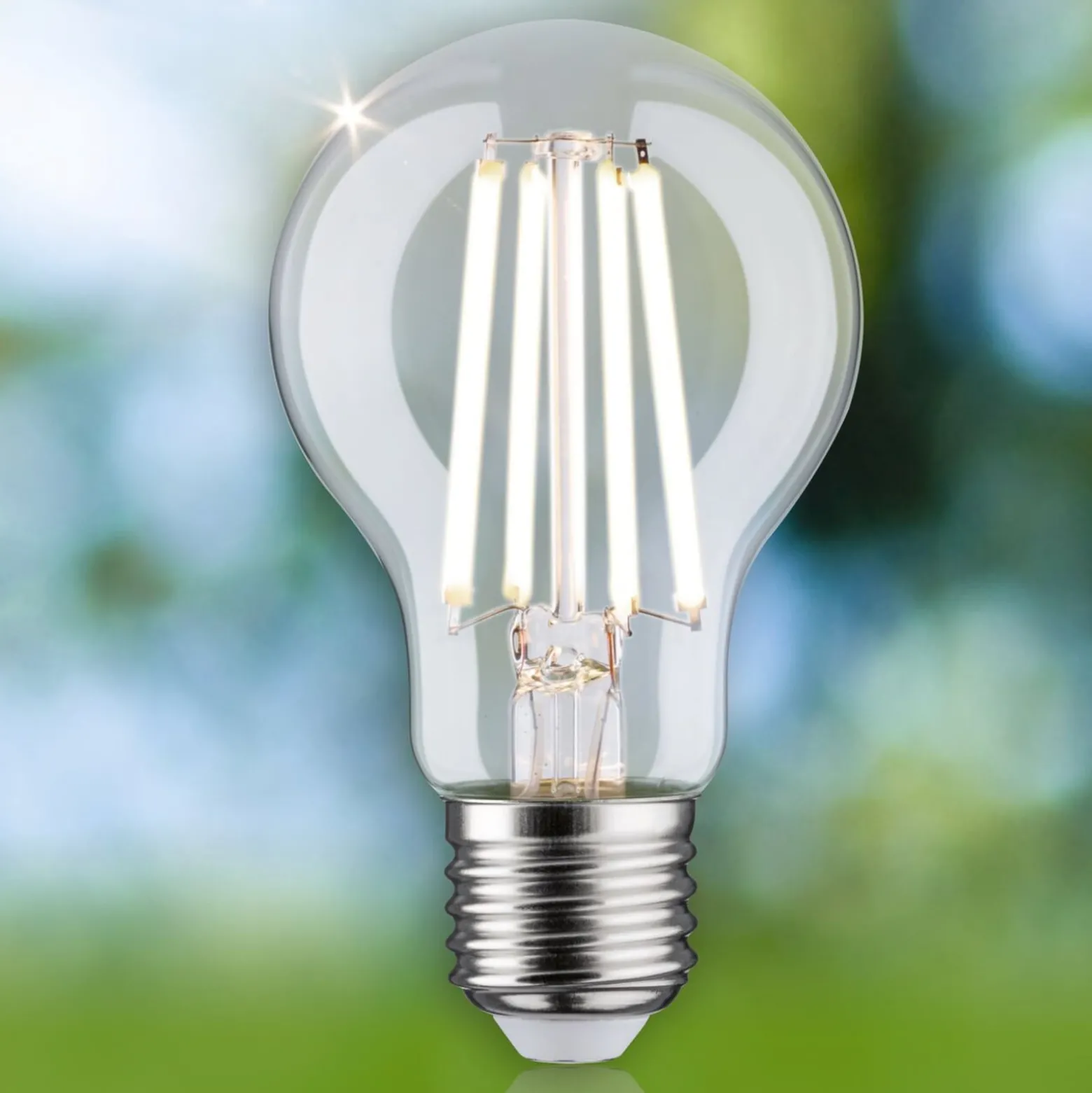 Paulmann Eco-Line-LED-lamppu E27 4W 840lm 4000K