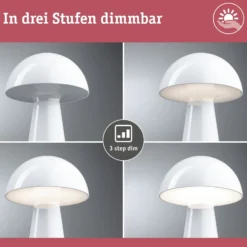 Paulmann LED-ladattava pöytävalaisin Onzo, valkoinen, muovi, IP44