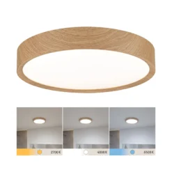 Paulmann Tega LED-kattovalaisin IP44 CCT puu