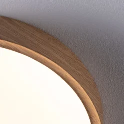 Paulmann Tega LED-kattovalaisin IP44 CCT puu