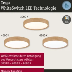 Paulmann Tega LED-kattovalaisin IP44 CCT puu