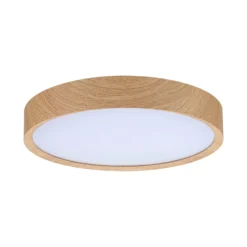 Paulmann Tega LED-kattovalaisin IP44 CCT puu