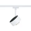 Paulmann URail LED-kohdevalaisin Aldan, 3 000 K, signaalivalkoinen