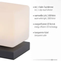 Paul Neuhaus LED-pöytävalaisin Dadoa, antrasiitti, lasi, himmennettävä