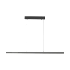Paul Neuhaus LED-riippuvalaisin Adriana Comfort Lift, harmaa, CCT