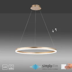 Paul Neuhaus LED-riippuvalaisin Titus, Ø 80 cm, messinkiä, himmennettävä