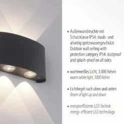 Paul Neuhaus LED-ulkoseinävalaisin Carlo, 13 cm, musta