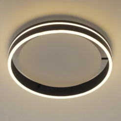 Paul Neuhaus Q-VITO LED kattovalaisin 40cm antrasiitti