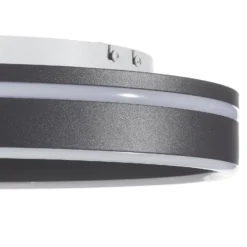 Paul Neuhaus Q-VITO LED kattovalaisin 40cm antrasiitti