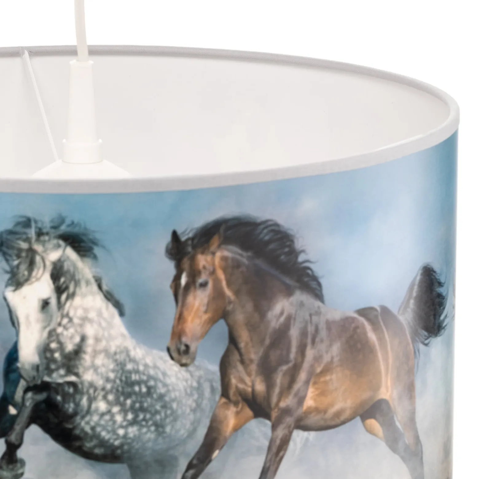 Print-riippuvalaisin Horses