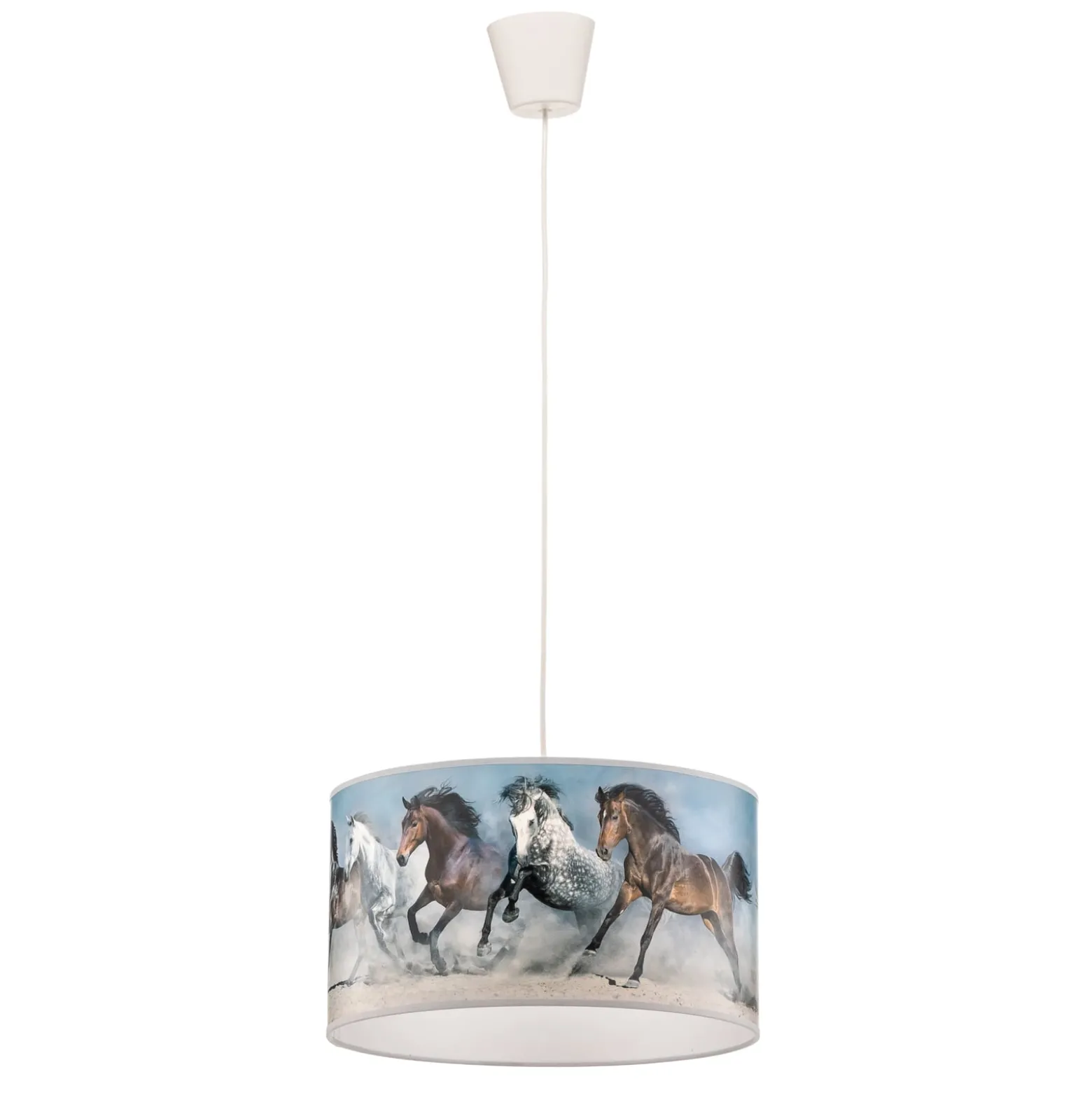 Print-riippuvalaisin Horses