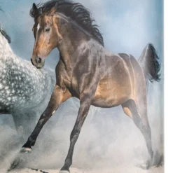 Print-riippuvalaisin Horses