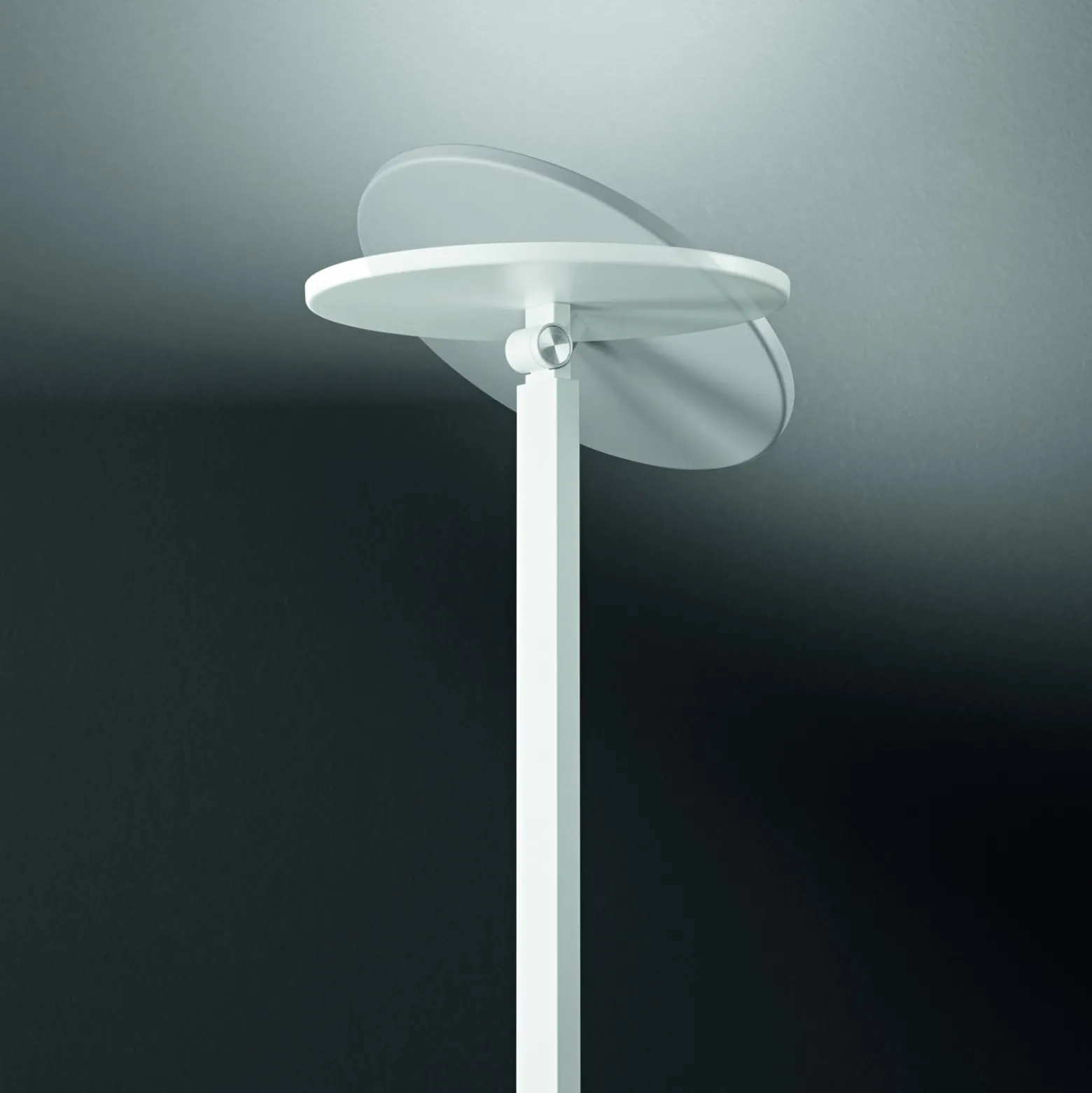 Regina LED-lattiavalaisin, valkoinen, CCT, himmennettävä, korkeus 180 cm