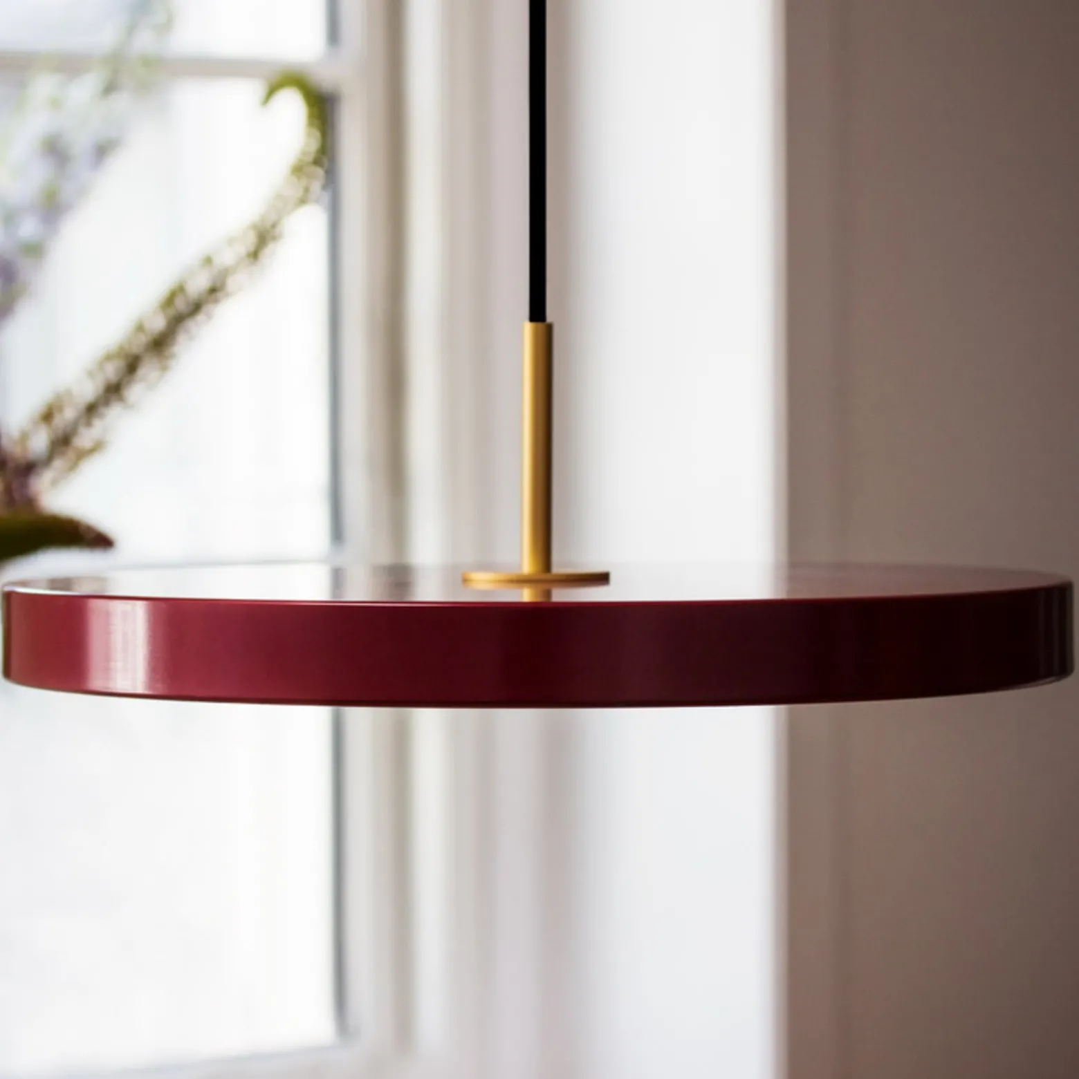 UMAGE LED-riippuvalaisin Asteria Mini, rubiininpunainen/messinki, Ø 31 cm