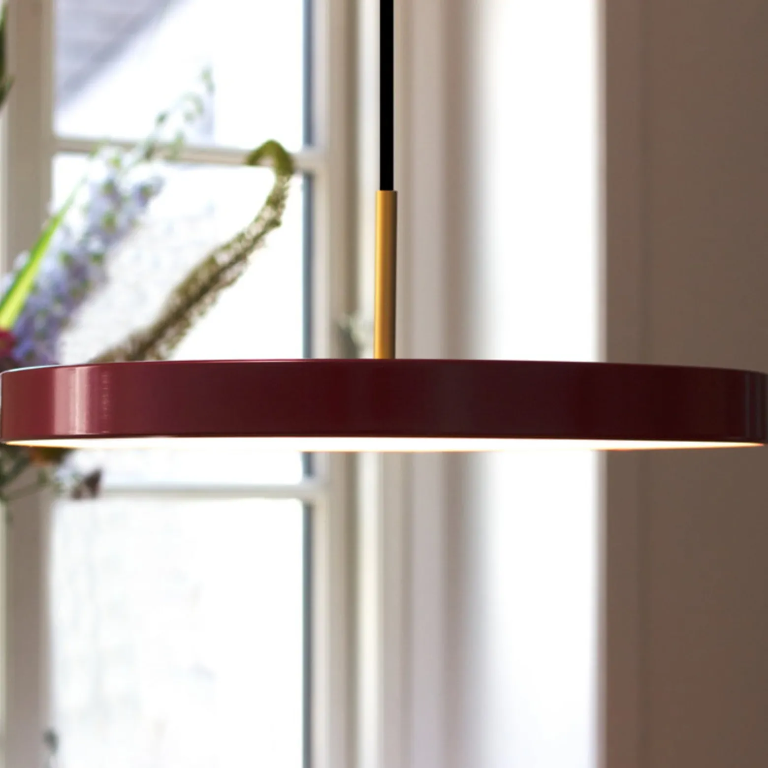 UMAGE LED-riippuvalaisin Asteria Mini, rubiininpunainen/messinki, Ø 31 cm