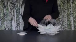 UMAGE Silvia Mini pöytälamppu valkoinen/musta