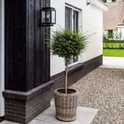 Vecht ulkoseinävalaisin liiketunnistimella